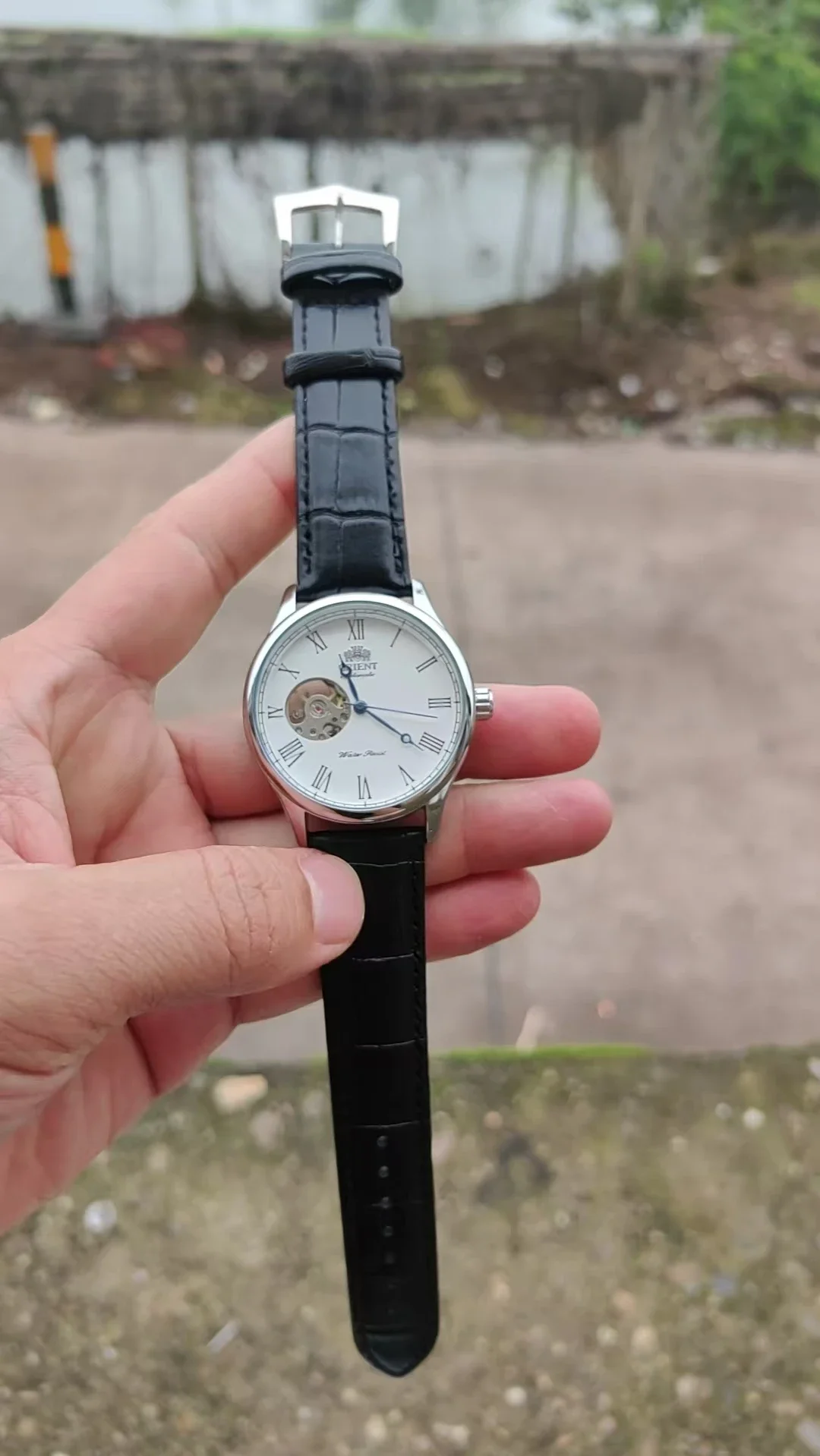 Механические часы-скелетон DFD – обзор и цена Seiko Watch Presage